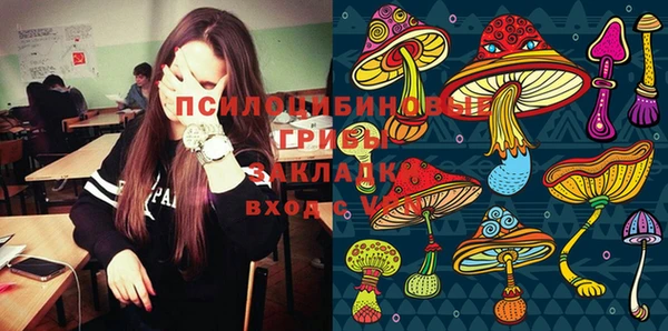 ПСИЛОЦИБИНОВЫЕ ГРИБЫ Медвежьегорск