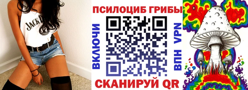 Псилоцибиновые грибы ЛСД  Купить где  Тамбов 