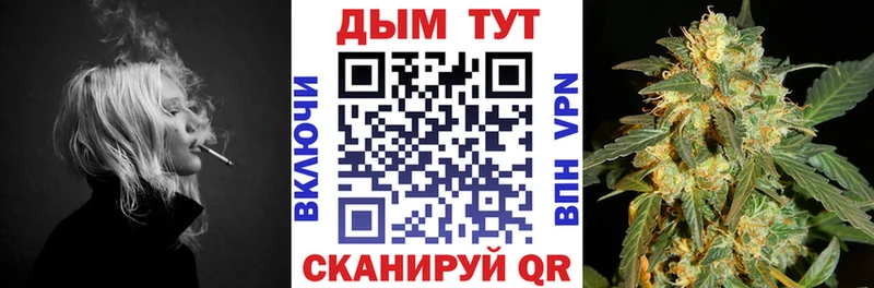 Купить  Тамбов  Бошки Шишки THC 21% 